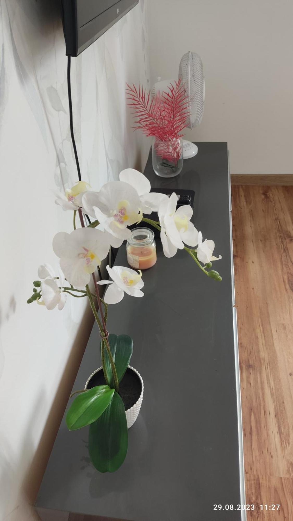 Be My Guest - Krucza Elegant Apartment - Rondo De Gaulle'A Center Of Warsaw Metro Wi-Fi Breakfast 外观 照片